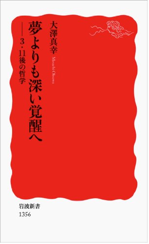 夢よりも深い覚醒へ――3・11後の哲学 (岩波新書)