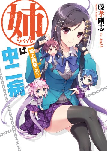 姉ちゃんは中二病 地上最強の弟!? (HJ文庫)