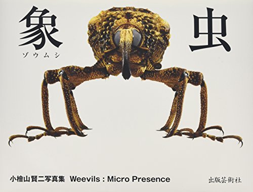 象虫:マイクロプレゼンス―小檜山賢二写真集
