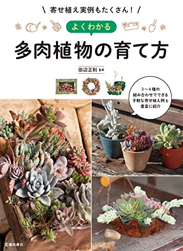 寄せ植え実例もたくさん！ よくわかる多肉植物の育て方