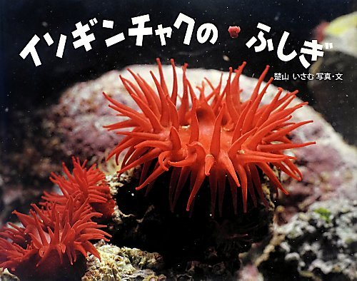 イソギンチャクのふしぎ (ふしぎいっぱい写真絵本)