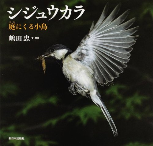 シジュウカラ―庭にくる小鳥 (日本の野鳥)