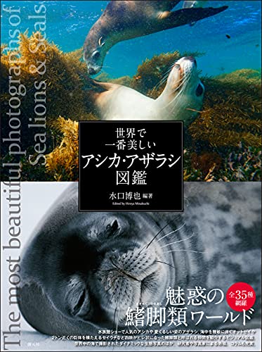 世界で一番美しいアシカ・アザラシ図鑑