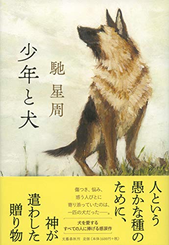 【第163回 直木賞受賞作】少年と犬