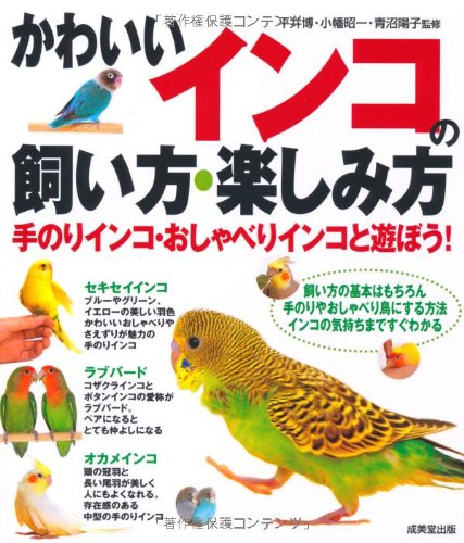 かわいいインコの飼い方・楽しみ方