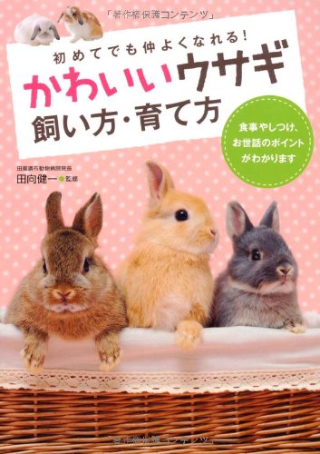 かわいいウサギ飼い方・育て方