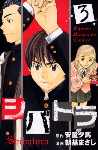 シバトラ(3) (講談社コミックス)