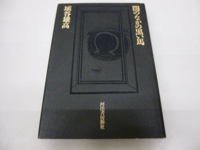 闇のなかの黒い馬