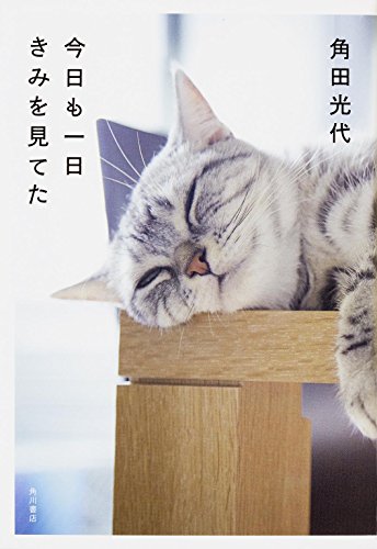 今日も一日きみを見てた