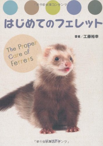 はじめてのフェレット (どうぶつシリーズ)