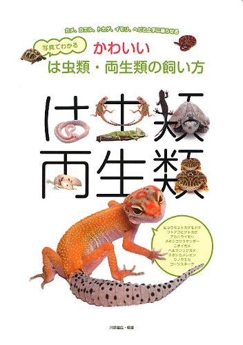 写真でわかるかわいいは虫類・両生類の飼い方―カメ、カエル、トカゲ、イモリ、ヘビと上手に暮らせる