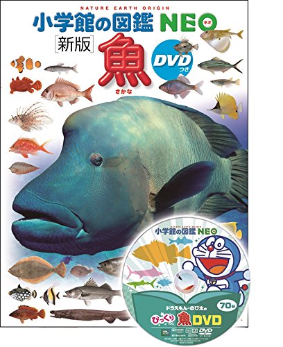 DVD付 新版 魚 (小学館の図鑑 NEO)