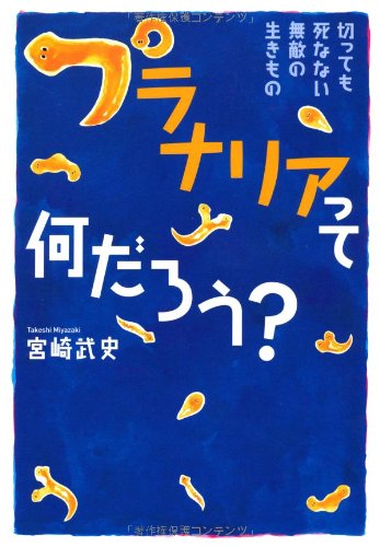 切っても死なない無敵の生きもの プラナリアって何だろう?