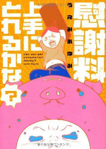 慰謝料上手にとれるかな?