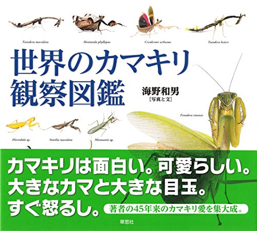 世界のカマキリ観察図鑑