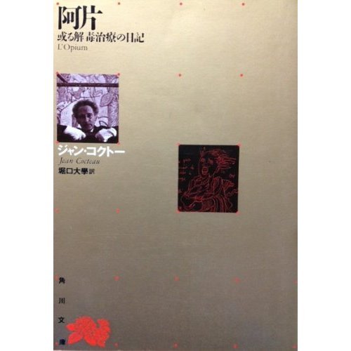 阿片―或る解毒治療の日記 (角川文庫)