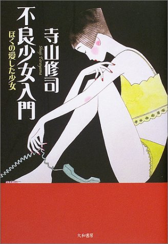 不良少女入門―ぼくの愛した少女
