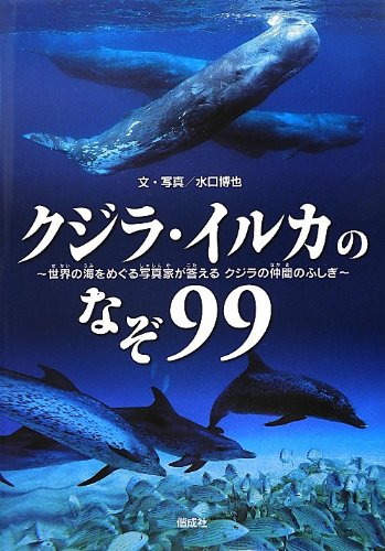 クジラ・イルカのなぞ99