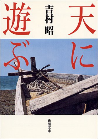 天に遊ぶ (新潮文庫)