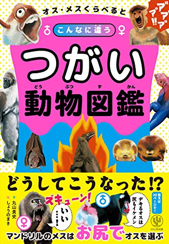 オス・メスくらべるとこんなに違う　つがい動物図鑑