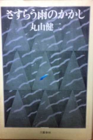 さすらう雨のかかし