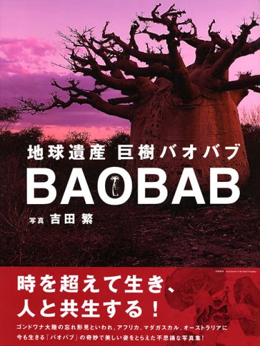 地球遺産 巨樹バオバブ