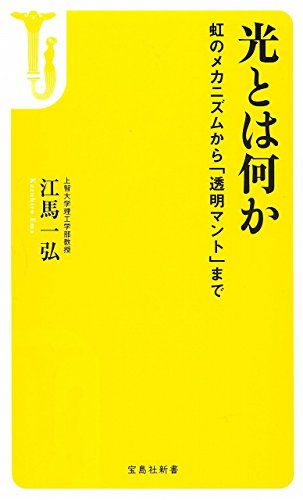 光とは何か (宝島社新書)