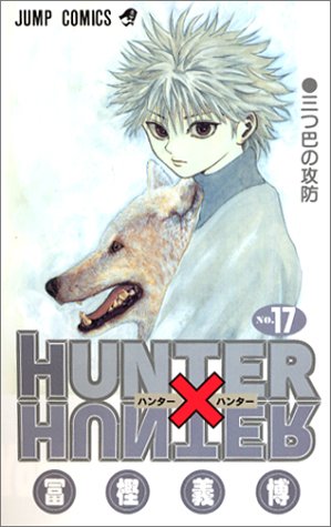 HUNTER X HUNTER17 (ジャンプ・コミックス)