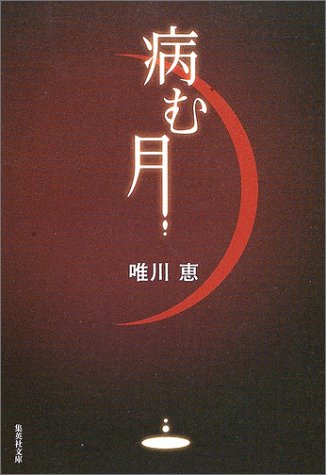 病む月 (集英社文庫)