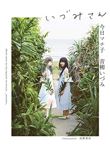 いづみさん (単行本)