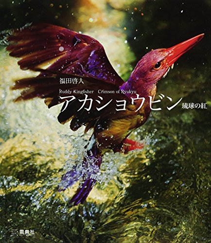 アカショウビン―琉球の紅Ruddy Kingfisher Crimson of Ryukyu