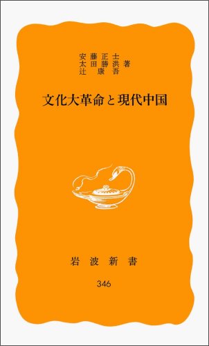 文化大革命と現代中国 (岩波新書)