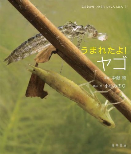 うまれたよ! ヤゴ (よみきかせ いきものしゃしんえほん9)