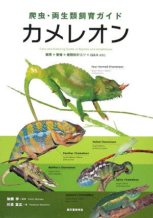 爬虫・両生類飼育ガイド カメレオン―飼育+繁殖+種類別のコツ+Q&A etc.