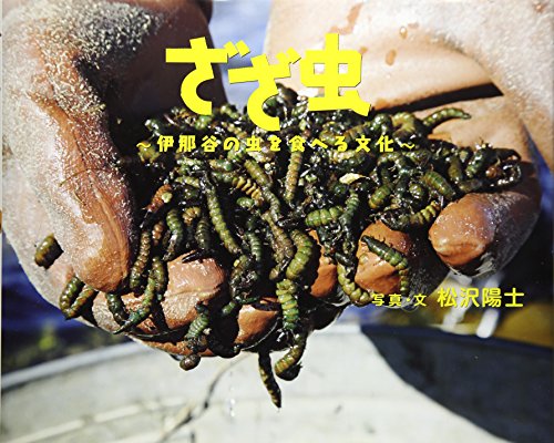 ざざ虫―伊那谷の虫を食べる文化 (ふしぎびっくり写真えほん)