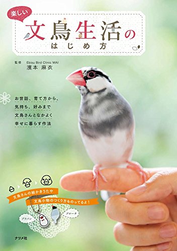 楽しい文鳥生活のはじめ方