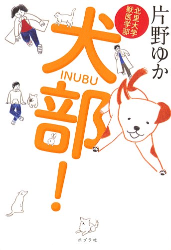 北里大学獣医学部 犬部!