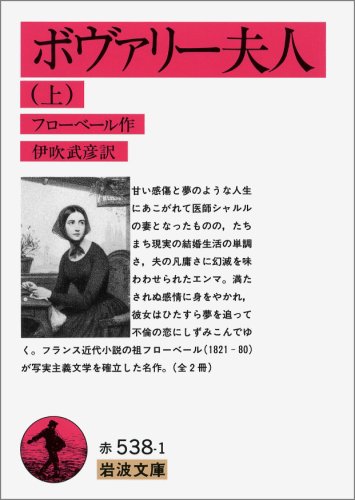 ボヴァリー夫人 (上) (岩波文庫)