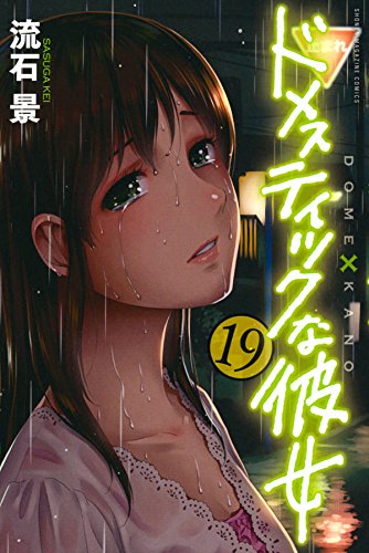 ドメスティックな彼女(19) (講談社コミックス)