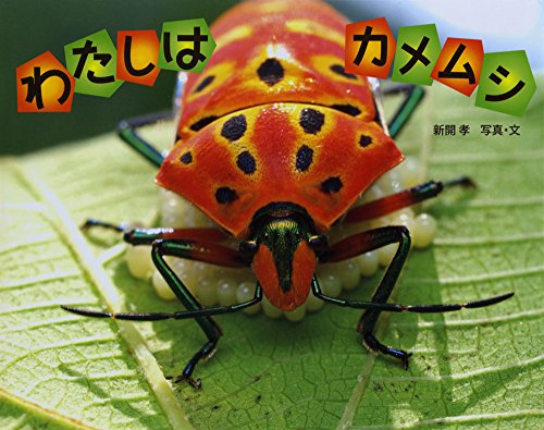 わたしは カメムシ (ふしぎいっぱい写真絵本)